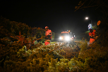 Retirando árboles caídos por Goretti esta pasada madrugada en Banvill (Normandía).