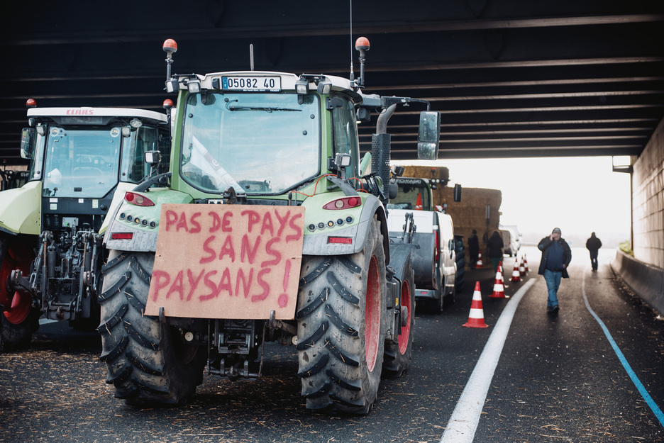Mercosur tratatuak arrangura handia eragiten du laborantza munduan.