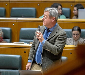El consejero de Seguridad, Bingen Zupiria, en un pleno del Parlamento.