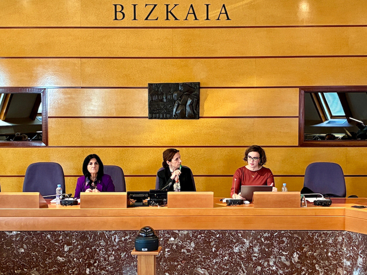 La diputada general de Bizkaia, Elixabete Etxanobe, en la comparecencia  ante las Juntas Generales.