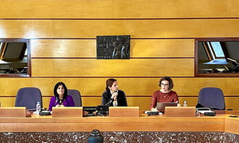 La diputada general de Bizkaia, Elixabete Etxanobe, en la comparecencia ante las Juntas Generales.