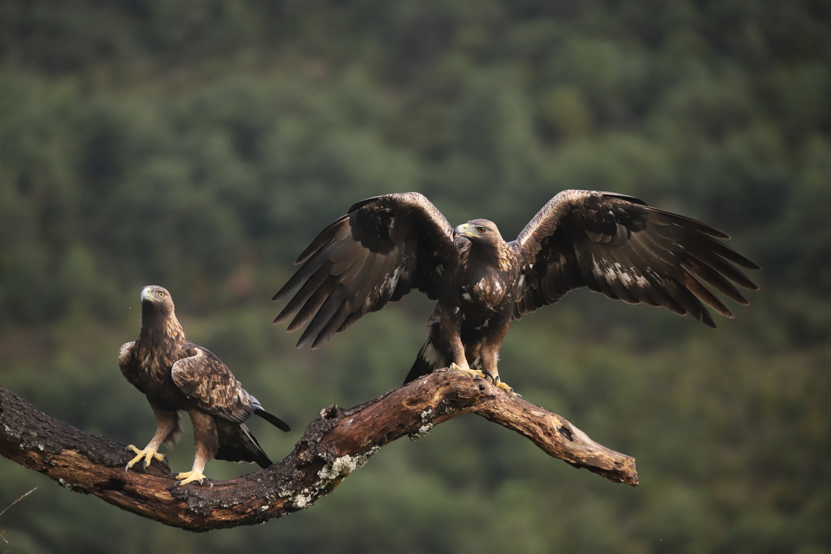 Erakusketako irudi bat.