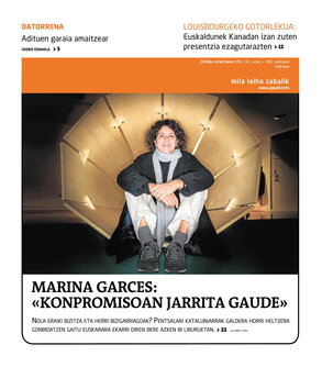 gaur8_2026-01-17-06-00