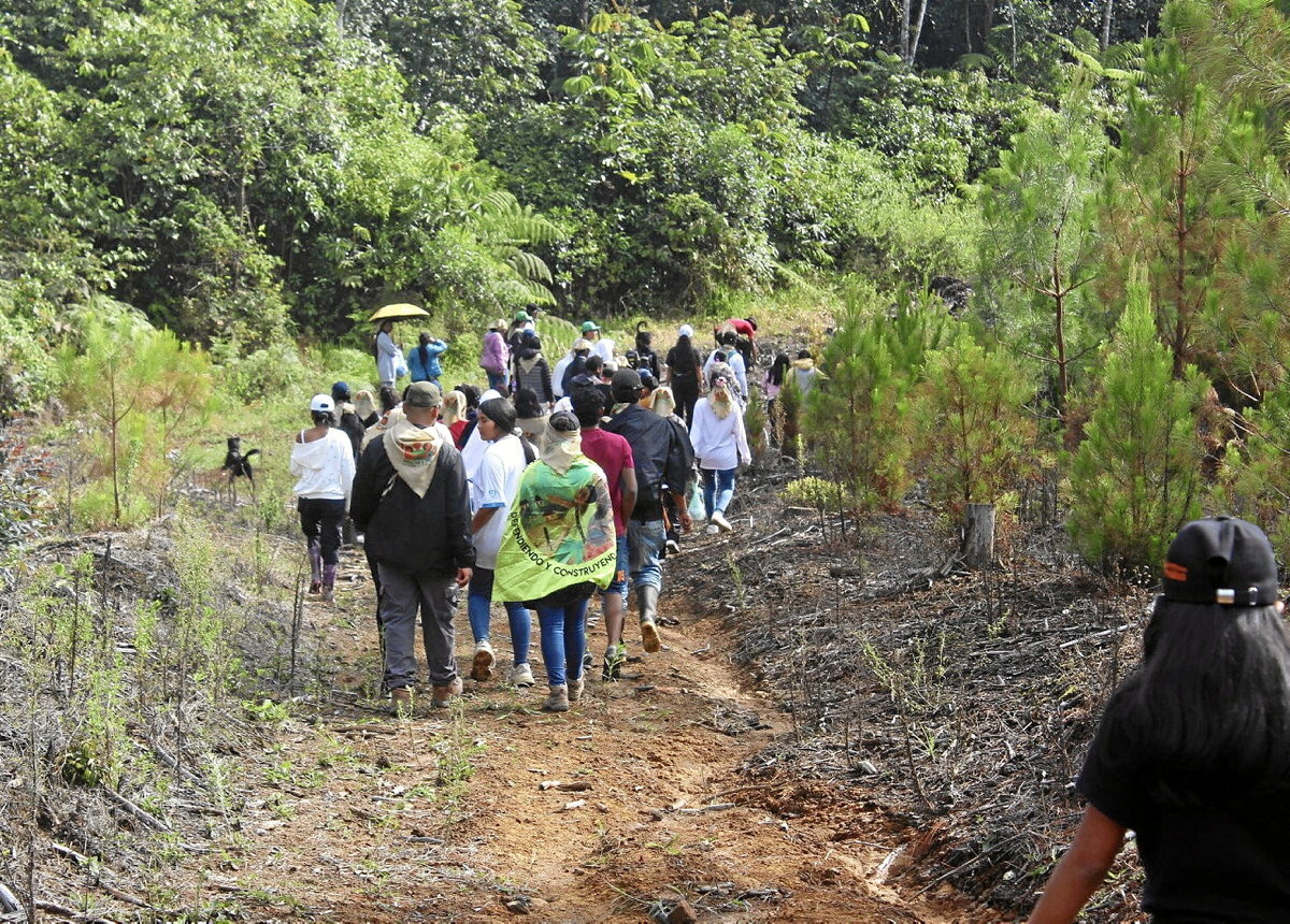 (Kolonbiako Nekazaritza Koordinakundea, CNA / FACEBOOK)