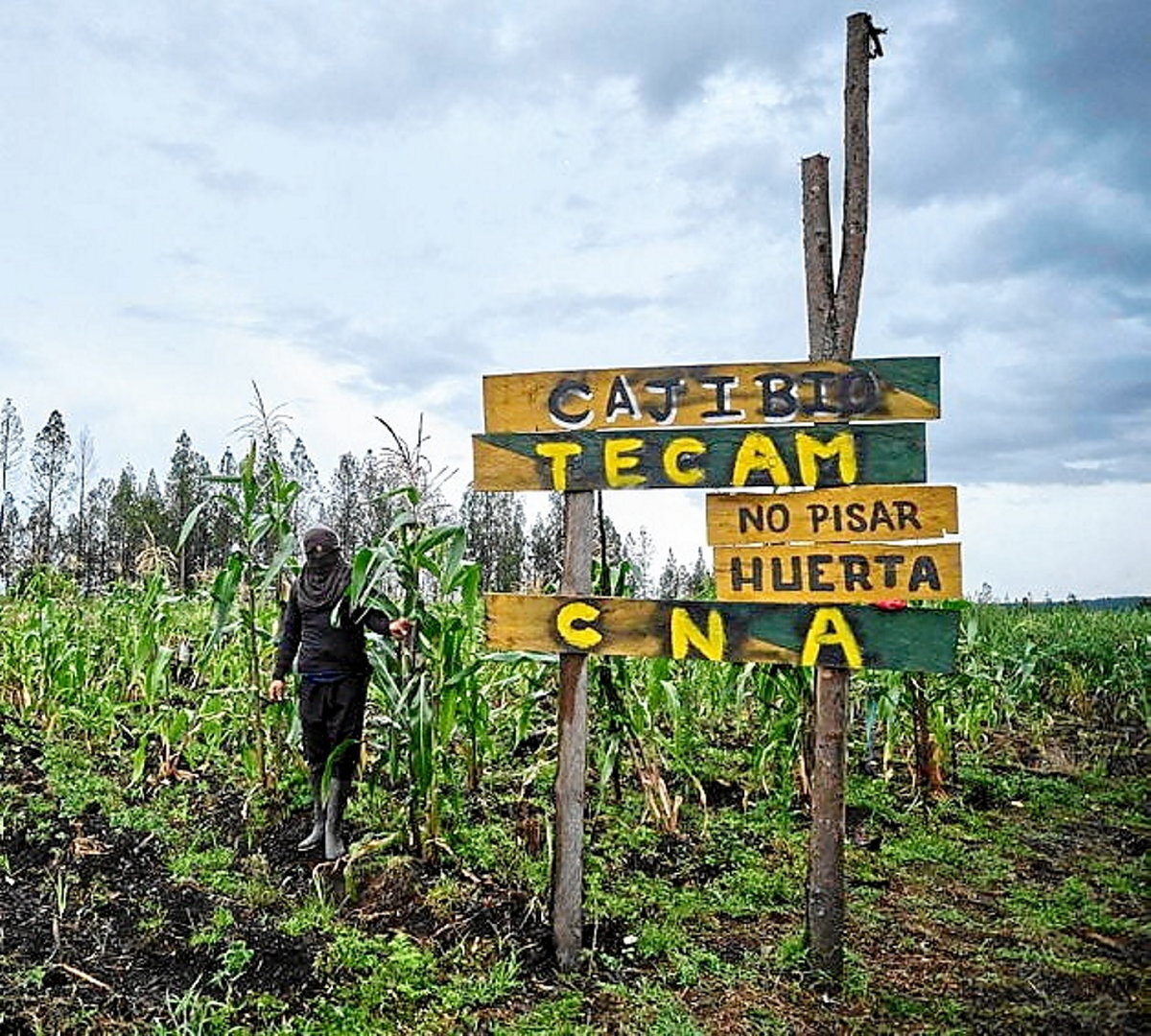 (@Fredy Henao Human Conet)