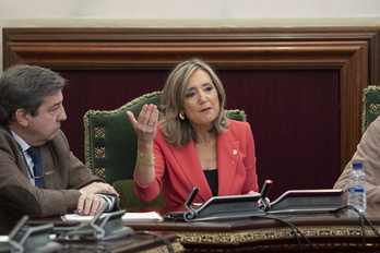 La portavoz de UPN, Cristina Ibarrola, en el pleno en que dejó de ser alcaldesa.