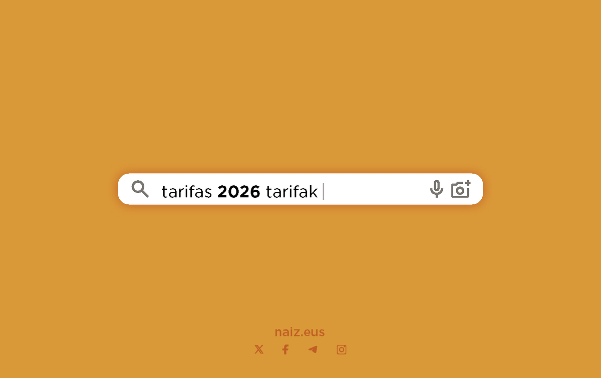 NAIZ publizitate tarifak 2026