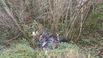 Los restos de animales han aparecido en el monte San Marko de Errenteria.