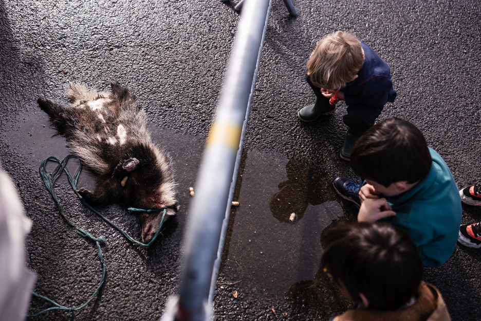 «Animalia puska ugari barreiatu zituzten, nazka, barreak eta algarak sortaraziz»