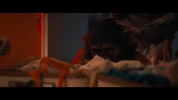 ‘PRIMATE’ filmeko eszena