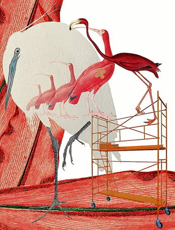 Asmo Onen Transfusioa.