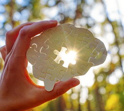 gara-2026-01-30-Noticia