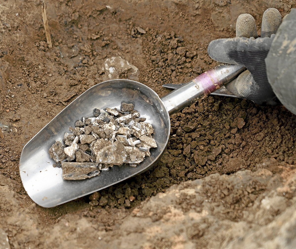 Huesos extraídos de un túmulo. (Tesela Arqueología)