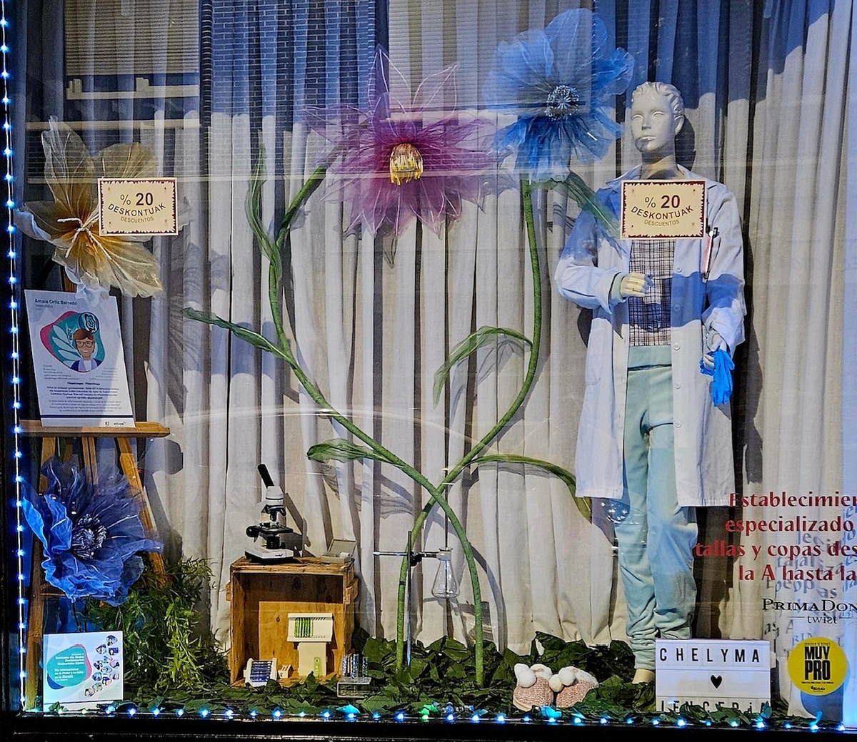 Erandioko Lenceria Chelyma dendaren erakusleihoa. (ELHUYAR)