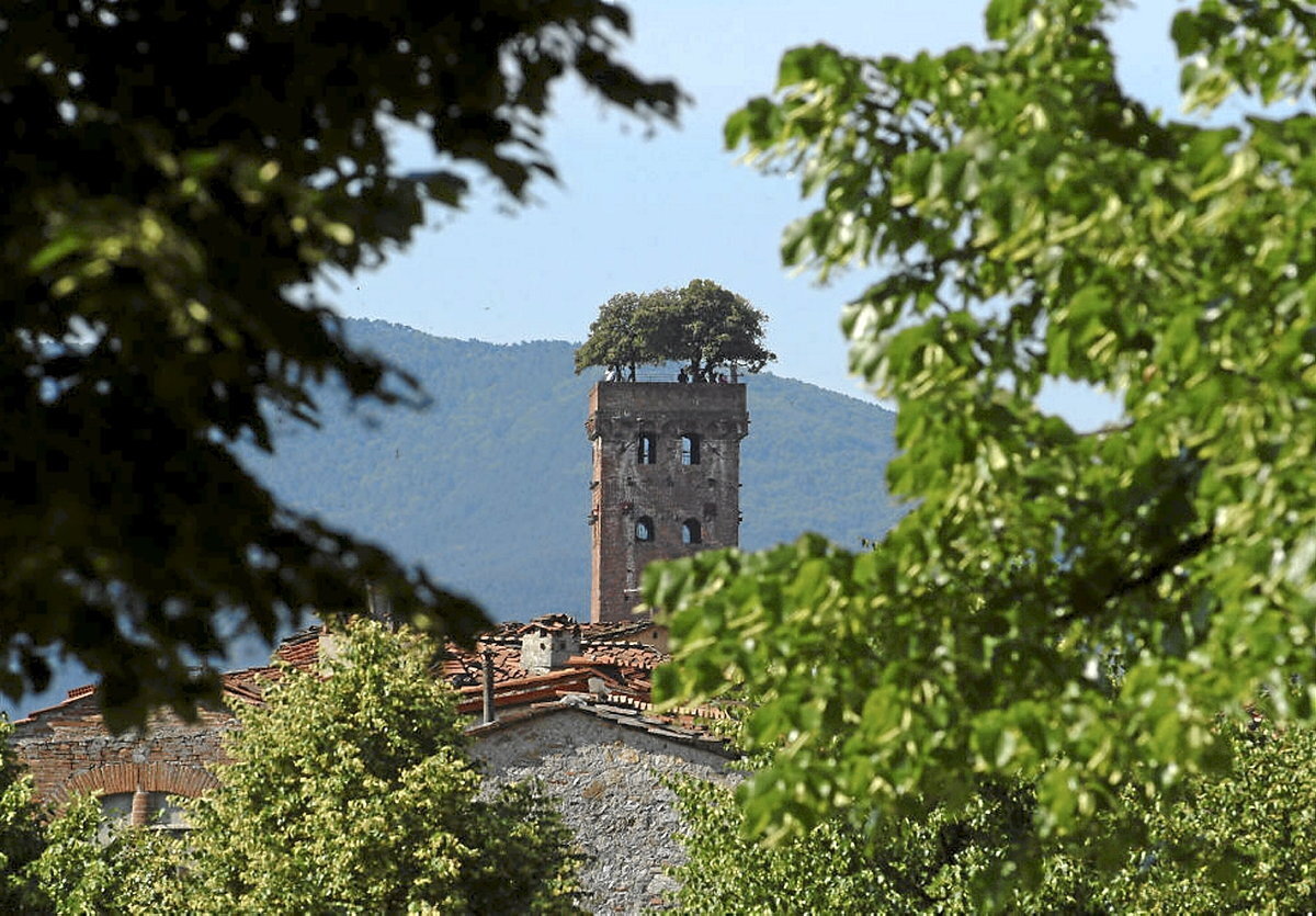 (Edoardo Fornaciari | Getty Images)