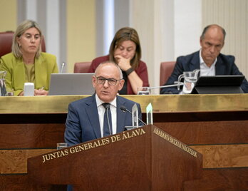 El diputado general de Araba, Ramiro González, en un pleno de las Juntas Generales.
