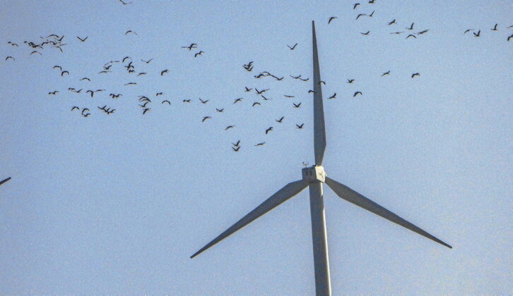 Lakua ha rechazado dos parques eólicos.