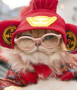 gara-2026-02-07-Noticia