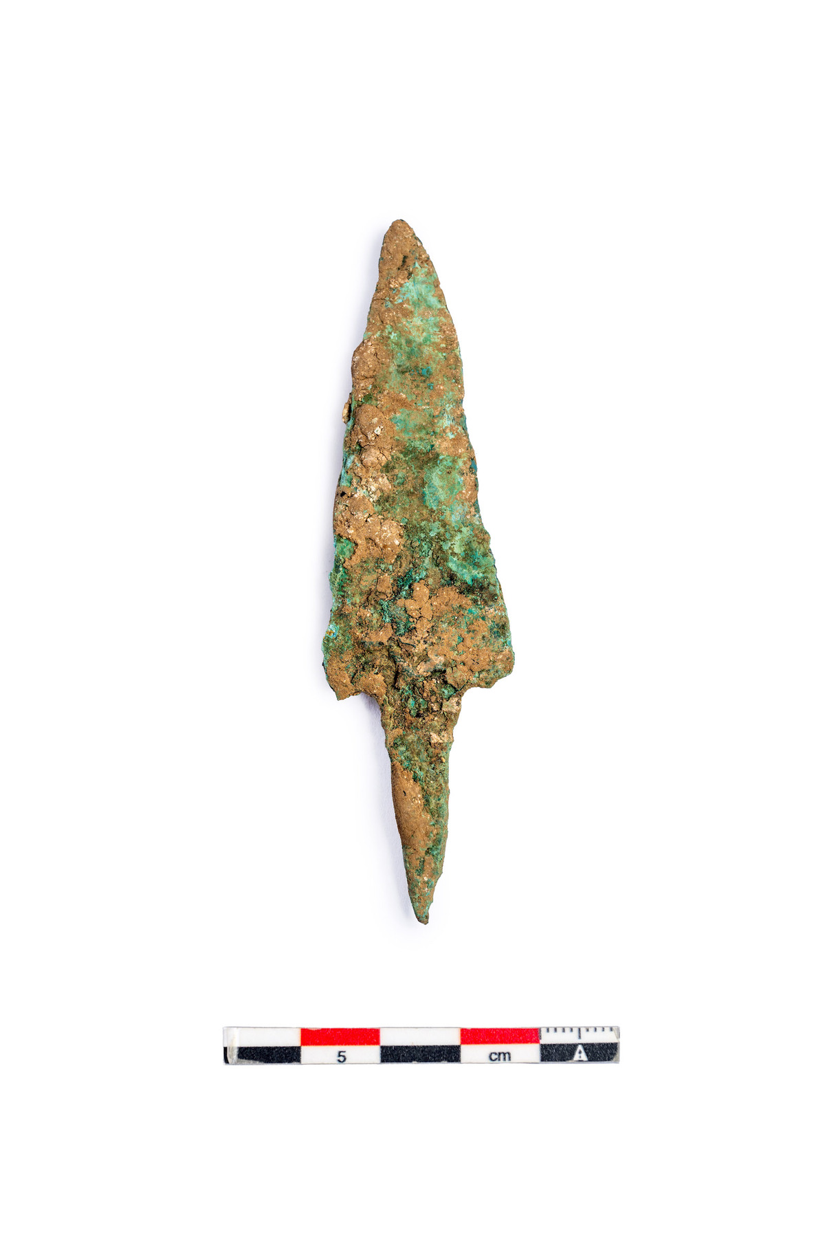 Punta de flecha de cobre localizada entre las costillas del esqueleto del bisonte. (GOBIERNO DE NAFARROA)