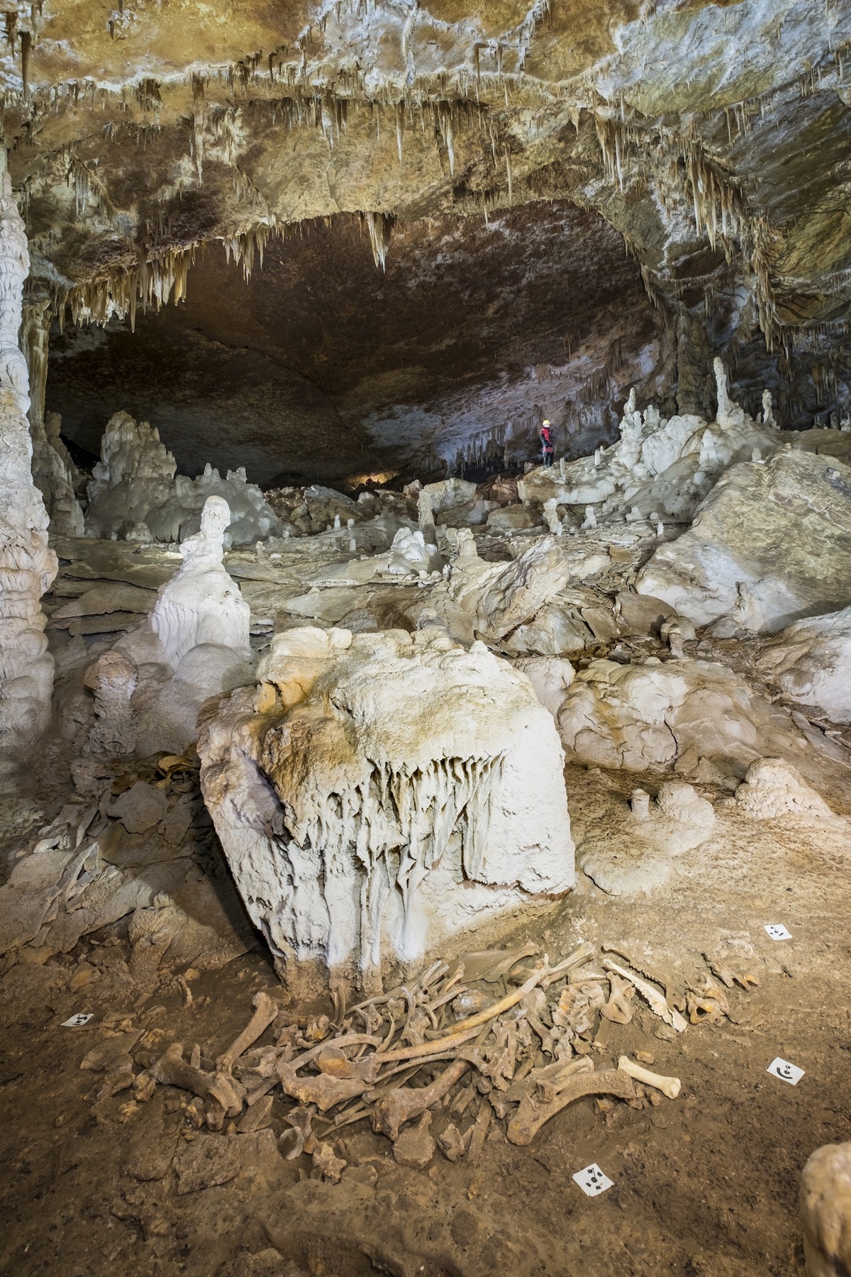 Cueva de la sierra de Arrafela, en Urbasa, donde han sido localizados los restos. (GOBIERNO DE NAFARROA)