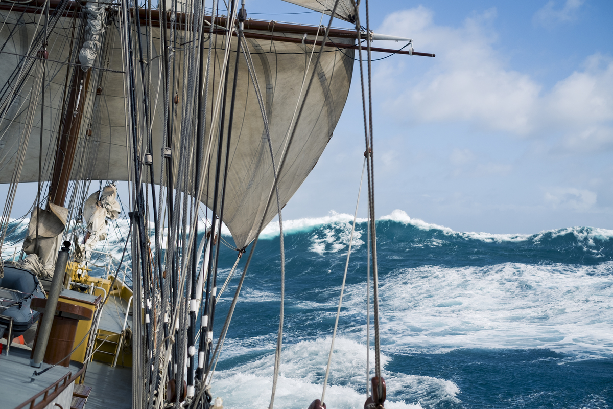Arrantzaran urte luzeak eman ditu itsasontsi honek. (PASAIAKO ITSAS FESTIBALA)