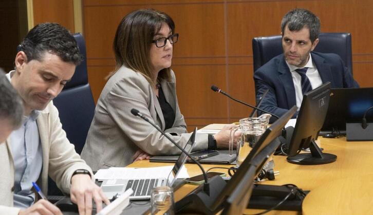 Amaia Barredo Lakuako sailburua planaren aurkezpenean Gasteizko Legebiltzarrean.