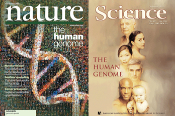 Zenbaki bere haien azalak.