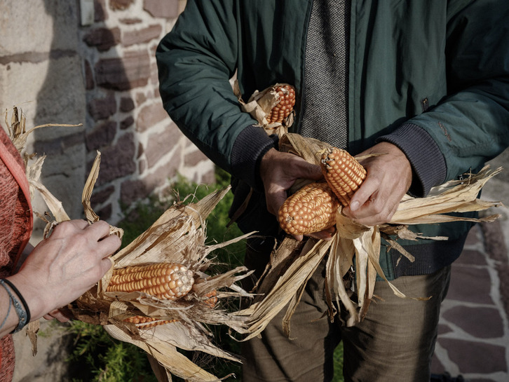 Tokiko Artoaren Egunean zaindariak omendu eta egindako ikerketa lana aurkeztuko dute.