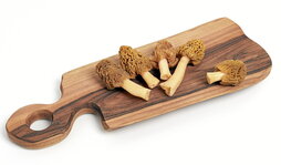 gara-2026-02-16-Noticia