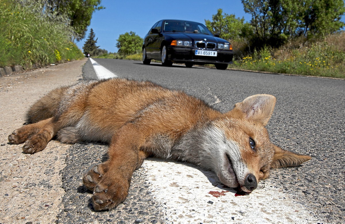 (Jose Antonio Martinez)