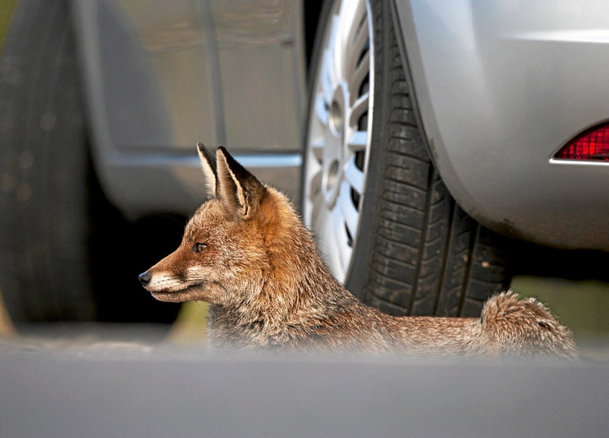 (Jose Antonio Martinez)