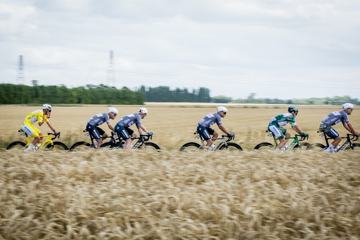 Una etapa de la pasada edición del Tour discurre entre campos de cereales amarilleados por el sol.