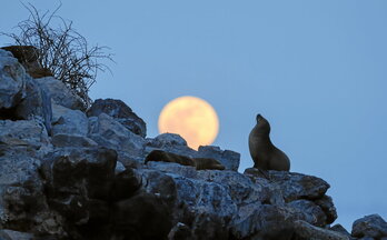 gara-2026-02-25-Reportaje