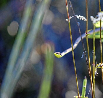 gara-2026-02-25-Reportaje