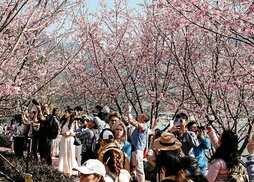 gara-2026-02-25-Noticia