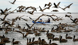 gara-2026-02-25-Noticia