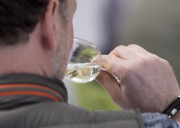 Bizkaiko Txakolina dastatzen.