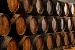 40 urtetik beherako 200 ekoizle gazte baino gehiago elkartuko dira.