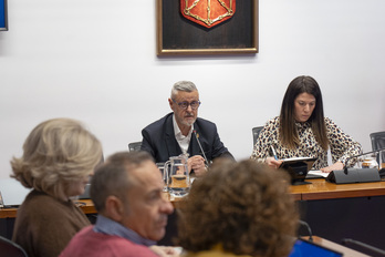 Martín Zabalza, durante su comparecencia en el Parlamento.