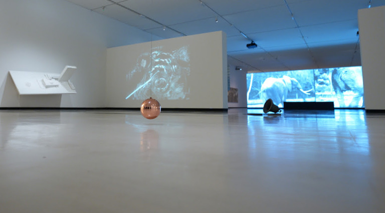 Erakusketaren irudi bat.