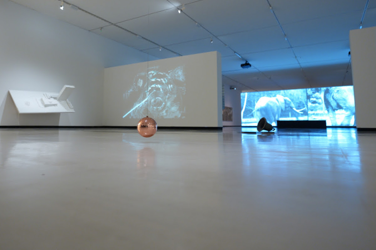 Erakusketaren irudi bat.