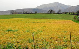 gara-2026-03-05-Opinión