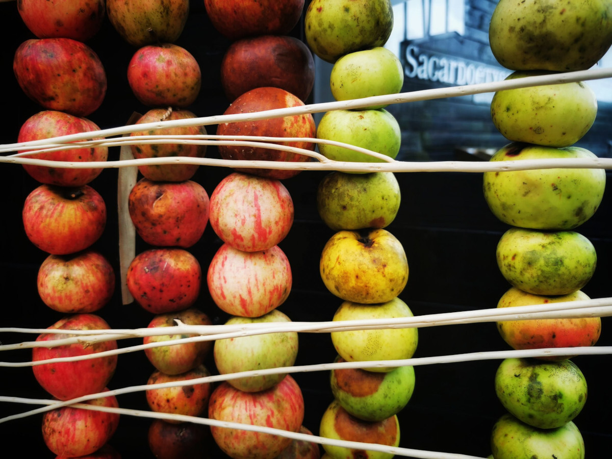 Sagar erakusketa (Marko Ganuza)