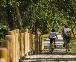 Nerbioiko parke linealeko bide berdea.
