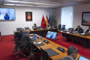 Koldo Martínez interviene por videoconferencia en la comisión. 