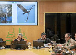 Comparecencia de los anguleros en el Parlamento de Gasteiz.