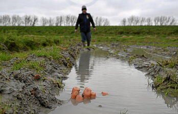 Un agricultor de Roz-sur-Couesnon muestra cómo el exceso de lluvia la ha arruinado las cosecha de zanahorias.