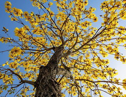 gara-2026-03-24-Noticia