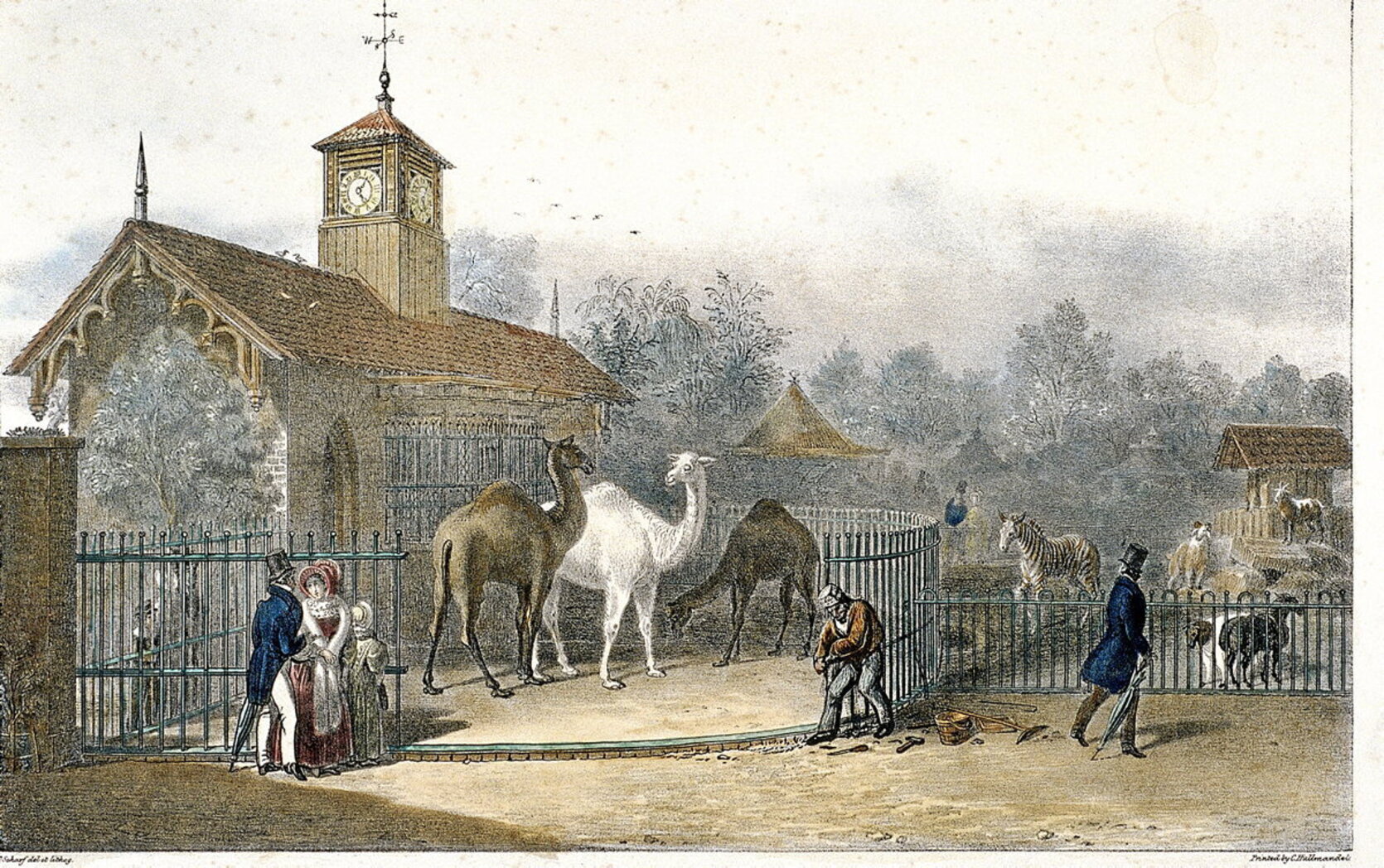 Londresko zooaren 200 urteak