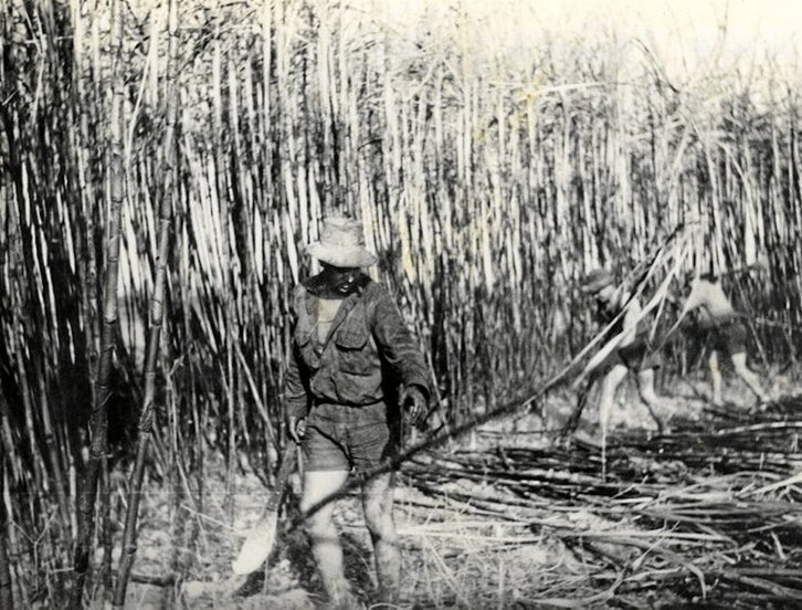 Varios navarros cortando caña de azúcar en Australia. En la siguiente página, Ana María Torres, de Faltzes, y su hija Juana María Moreno Torres, delante del coche familiar en la «farm». Moore Creek, Tamworth (NSW).